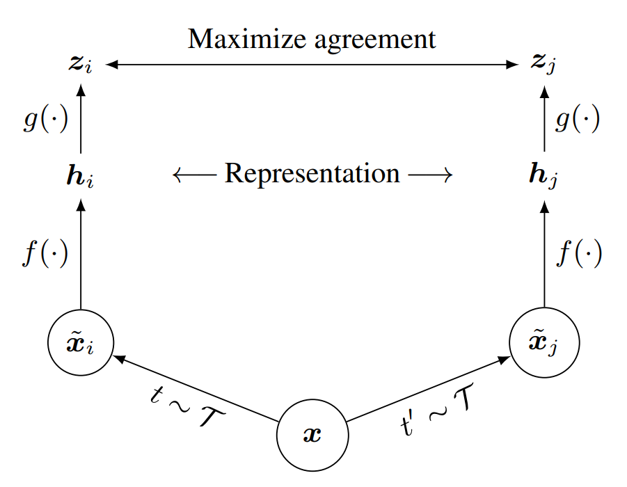 flow idea of SimCLR framework